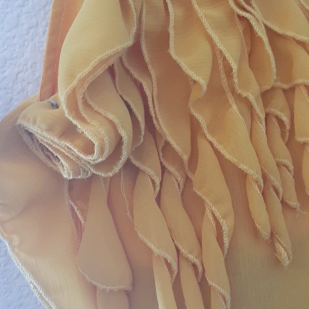 Solution Silk Ruffled Blouse - Picture 2 of 8